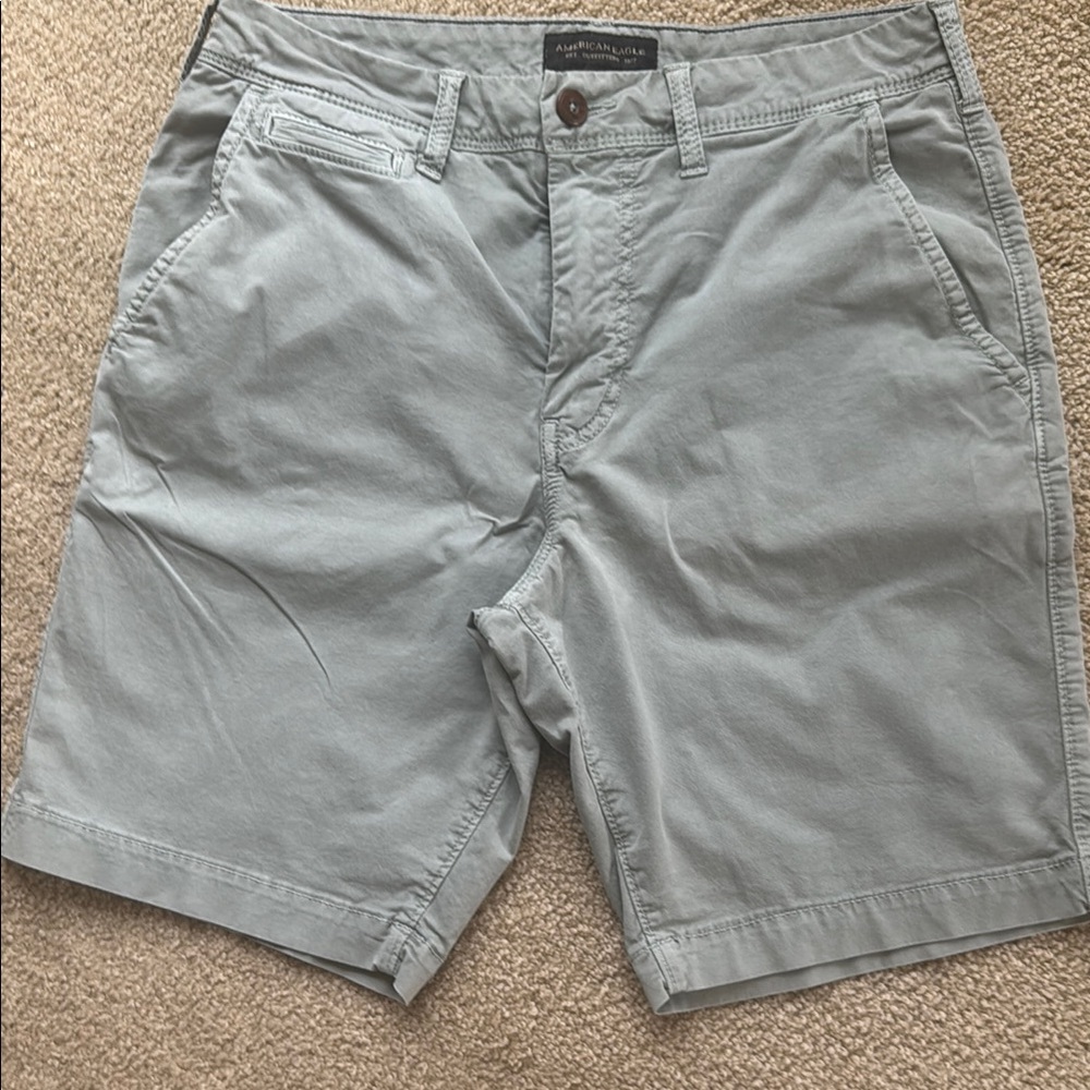 American Eagle Outfitters 31 Green Flat Front flex Shorts